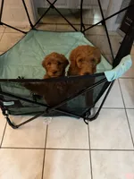 processed/f34a5b28-040f-404f-8f8f-5f081e846abb/facility/ed778ffb-97d0-4d0a-a45b-cfc8bbf727d3