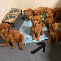 processed/f34a5b28-040f-404f-8f8f-5f081e846abb/facility/edfb7a69-73ed-423d-b3b5-0e9e16b5945f