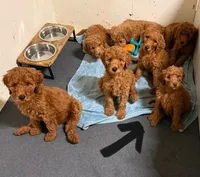 processed/f34a5b28-040f-404f-8f8f-5f081e846abb/facility/edfb7a69-73ed-423d-b3b5-0e9e16b5945f