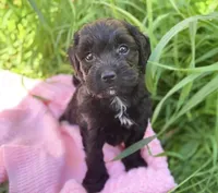 processed/f34aaf9e-6847-44a9-bdc7-5be0a08f501b/facility/2df3a0ea-5121-435d-bbab-91325a825483