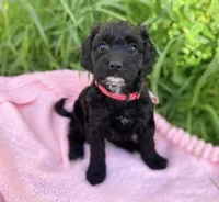 processed/f34aaf9e-6847-44a9-bdc7-5be0a08f501b/facility/93a992c3-28ce-44fe-8a14-bddbaada9095