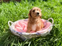 processed/f34aaf9e-6847-44a9-bdc7-5be0a08f501b/facility/a8d0d00c-b54c-4dca-8650-8c4e0cf46adb