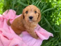 processed/f34aaf9e-6847-44a9-bdc7-5be0a08f501b/facility/fa57d041-632a-4d32-923e-de77fdaad267