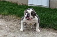 processed/f34ecd1a-2fe5-487d-8938-be755bca9330/listing/ea694fb0-1d52-4838-b95e-9d7e29c653e0/a60cecca-e510-428f-8ef7-4929aa83eabe