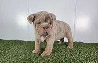 processed/f34ecd1a-2fe5-487d-8938-be755bca9330/listing/ea694fb0-1d52-4838-b95e-9d7e29c653e0/ff8ac83e-f384-4437-abf9-041796570cbd