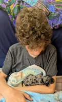 Thistle, a female Cockapoo for sale in Orange Park, FL – 2 of 3