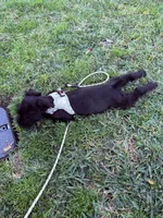 processed/f35d00ae-396e-44e1-b356-fe08fec4ae13/facility/129e4252-7938-4fad-a91f-272943e036e6