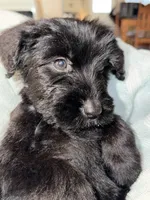 processed/f35d00ae-396e-44e1-b356-fe08fec4ae13/facility/32ded68f-4409-4d27-8e05-538970abad19