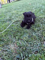 processed/f35d00ae-396e-44e1-b356-fe08fec4ae13/facility/76d07cbd-f395-4f6d-a0ef-77aa03bb73ea