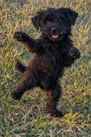 processed/f35d00ae-396e-44e1-b356-fe08fec4ae13/facility/bba3a2d2-b85b-4f35-a1bc-644095899c49