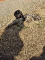 processed/f361f847-e65b-4fb7-9877-9654ec008547/listing/97b3a665-263c-45f5-b95a-61a5f1dbd7ca/15b327d4-794c-45d1-9cad-ffbd402e9a57