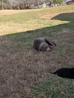 processed/f361f847-e65b-4fb7-9877-9654ec008547/listing/97b3a665-263c-45f5-b95a-61a5f1dbd7ca/51dc538c-e649-40d1-826c-808c1aa5f651