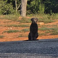 processed/f361f847-e65b-4fb7-9877-9654ec008547/listing/97b3a665-263c-45f5-b95a-61a5f1dbd7ca/cf259057-14a8-41b3-ba44-f2c12026ff76