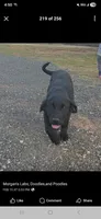 Photo of Nora 