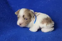 processed/f3658390-6d69-4d8d-9ad5-2a1ea69b1b55/listing/d6c7d6bb-9ffe-4831-815f-d243a4df52c1/190f0eee-9096-4e49-b46d-bcd75fa0db0d