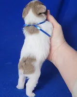 processed/f3658390-6d69-4d8d-9ad5-2a1ea69b1b55/listing/d6c7d6bb-9ffe-4831-815f-d243a4df52c1/800d86ba-0e78-4b12-bd17-d867c5891b1f