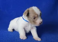 processed/f3658390-6d69-4d8d-9ad5-2a1ea69b1b55/listing/d6c7d6bb-9ffe-4831-815f-d243a4df52c1/b6f82b8c-e3d5-458a-af3d-9f043dcb9f13