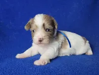 processed/f3658390-6d69-4d8d-9ad5-2a1ea69b1b55/listing/d6c7d6bb-9ffe-4831-815f-d243a4df52c1/f6c9c8d6-0e7c-4404-8ca3-16806991595d