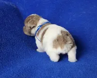 processed/f3658390-6d69-4d8d-9ad5-2a1ea69b1b55/listing/d6c7d6bb-9ffe-4831-815f-d243a4df52c1/fb54c281-4123-4125-8dda-9dbc96d64e3b