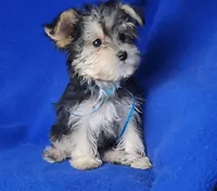 processed/f3658390-6d69-4d8d-9ad5-2a1ea69b1b55/listing/dd36928f-b9a4-4109-8028-d0e55a178501/084d9f8c-7ae2-431b-8b96-6dad4658862c