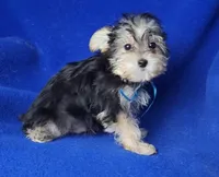 processed/f3658390-6d69-4d8d-9ad5-2a1ea69b1b55/listing/dd36928f-b9a4-4109-8028-d0e55a178501/232f8017-583f-4cfb-bb94-32b6611e0b12