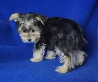 processed/f3658390-6d69-4d8d-9ad5-2a1ea69b1b55/listing/dd36928f-b9a4-4109-8028-d0e55a178501/3d597d80-c94a-4741-bed8-537f3e13a155