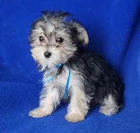 processed/f3658390-6d69-4d8d-9ad5-2a1ea69b1b55/listing/dd36928f-b9a4-4109-8028-d0e55a178501/5e42ba95-4cd8-4178-9669-803518210114