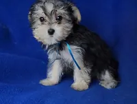 processed/f3658390-6d69-4d8d-9ad5-2a1ea69b1b55/listing/dd36928f-b9a4-4109-8028-d0e55a178501/8ea39849-1ae1-4df0-830b-655b4ec36b3f