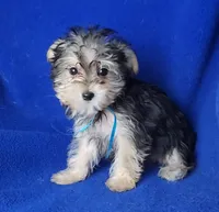 processed/f3658390-6d69-4d8d-9ad5-2a1ea69b1b55/listing/dd36928f-b9a4-4109-8028-d0e55a178501/99bd92e0-4821-456b-8178-8a4b3c3e0e33