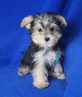 processed/f3658390-6d69-4d8d-9ad5-2a1ea69b1b55/listing/dd36928f-b9a4-4109-8028-d0e55a178501/b1aa2bc0-c584-46be-bbf6-735c42aec150