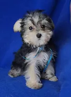 processed/f3658390-6d69-4d8d-9ad5-2a1ea69b1b55/listing/dd36928f-b9a4-4109-8028-d0e55a178501/c7c727fc-9178-4a33-a518-268a445a9e87