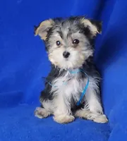 processed/f3658390-6d69-4d8d-9ad5-2a1ea69b1b55/listing/dd36928f-b9a4-4109-8028-d0e55a178501/cce0c94f-b5a1-446a-848d-3dbdc22761b4