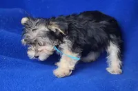 processed/f3658390-6d69-4d8d-9ad5-2a1ea69b1b55/listing/dd36928f-b9a4-4109-8028-d0e55a178501/db7f101d-c9ac-4acc-94e2-201d29bd55d7