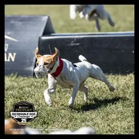 processed/f372879f-1169-4215-91a7-9d1bbffb2b72/facility/2f8cbe43-cd21-4a51-b575-6b494007e004