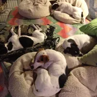 processed/f372879f-1169-4215-91a7-9d1bbffb2b72/facility/3262e9b4-3a70-44ad-b00d-b9b7271229ab