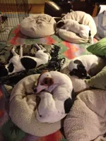 processed/f372879f-1169-4215-91a7-9d1bbffb2b72/facility/3262e9b4-3a70-44ad-b00d-b9b7271229ab