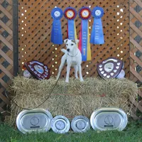 processed/f372879f-1169-4215-91a7-9d1bbffb2b72/facility/95ea35a7-f382-439c-b3de-01a4f3ad6cea