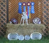 processed/f372879f-1169-4215-91a7-9d1bbffb2b72/facility/95ea35a7-f382-439c-b3de-01a4f3ad6cea