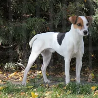 processed/f372879f-1169-4215-91a7-9d1bbffb2b72/facility/d894358c-91ab-4bb7-a7b0-5b4f21a26ebc