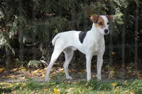 processed/f372879f-1169-4215-91a7-9d1bbffb2b72/facility/d894358c-91ab-4bb7-a7b0-5b4f21a26ebc