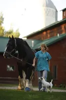 processed/f372879f-1169-4215-91a7-9d1bbffb2b72/facility/dc172516-c919-49ef-b53c-31d924d99845