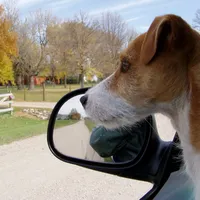 processed/f372879f-1169-4215-91a7-9d1bbffb2b72/facility/e2b96998-222c-4373-b7b7-1cc8bb75b31a