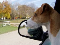 processed/f372879f-1169-4215-91a7-9d1bbffb2b72/facility/e2b96998-222c-4373-b7b7-1cc8bb75b31a