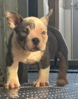 processed/f37ce262-fccd-45be-94a3-979c8fc24a46/listing/27cf3579-13c4-4a4c-b8cf-90e88c12f747/35718477-2201-4582-8e1d-f18915b1b082