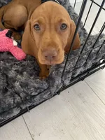 processed/f3825896-7594-40ed-a7ed-335f95137786/facility/0ea4ad59-40f2-4267-a08e-228a5e62837b