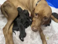 processed/f3825896-7594-40ed-a7ed-335f95137786/facility/4758d4f1-f3bc-4b26-8444-ec540629f713