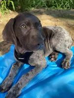 processed/f3825896-7594-40ed-a7ed-335f95137786/facility/67518184-1532-4221-b9f1-81cff24330f8