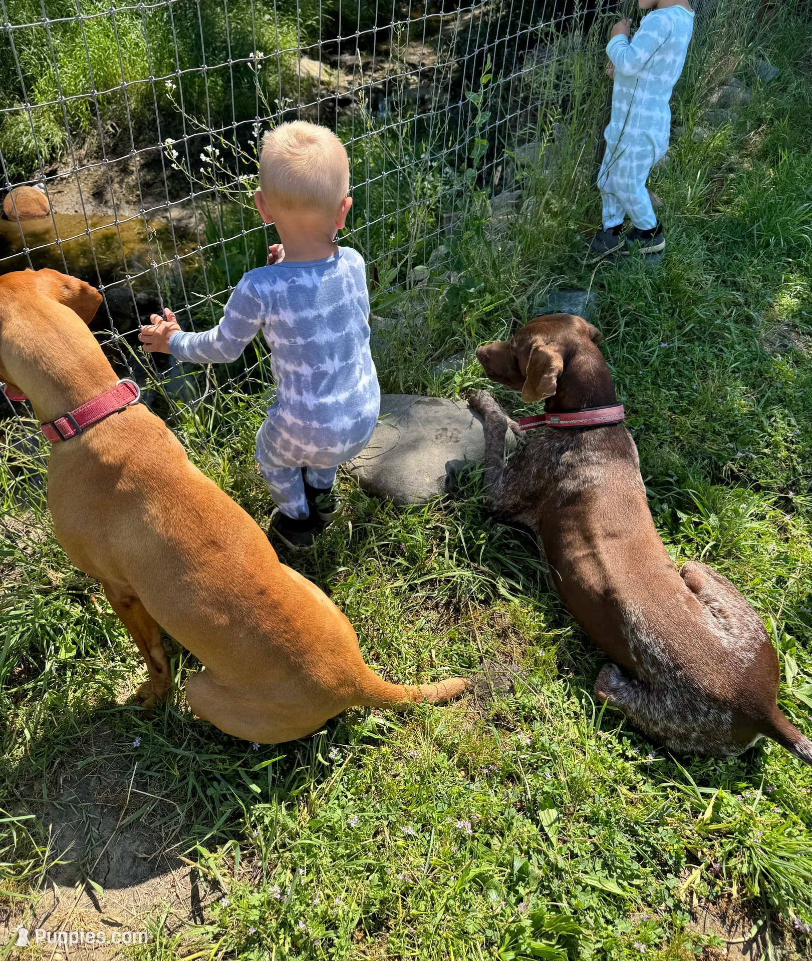 processed/f3825896-7594-40ed-a7ed-335f95137786/facility/75cac0dc-8a8c-4861-a16a-e522d5e096ec