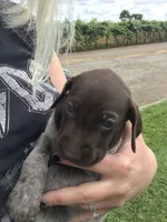 processed/f3825896-7594-40ed-a7ed-335f95137786/facility/897088c5-0f63-4893-af3c-6ed7c335bf51