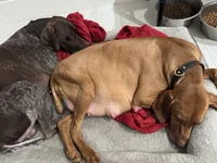 processed/f3825896-7594-40ed-a7ed-335f95137786/facility/b58965e6-4e84-406c-9500-312bb59e146f